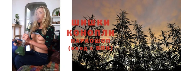 apvp Алзамай