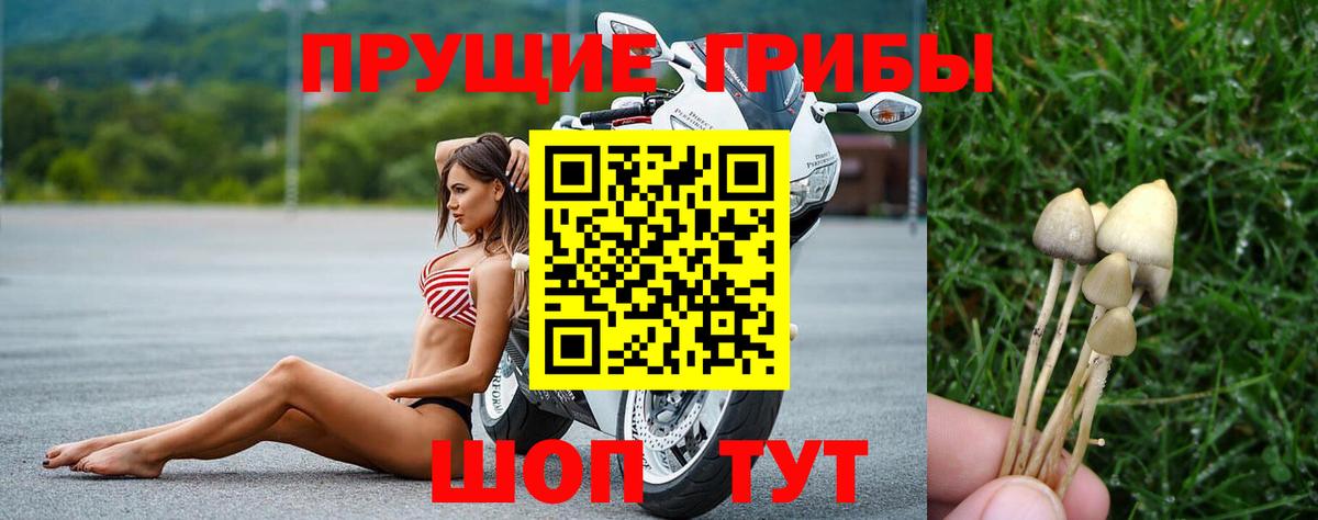 Галлюциногенные грибы Cubensis  Вход с VPN  Красногорск 