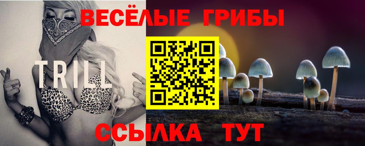 Псилоцибиновые грибы Magic Shrooms Красногорск